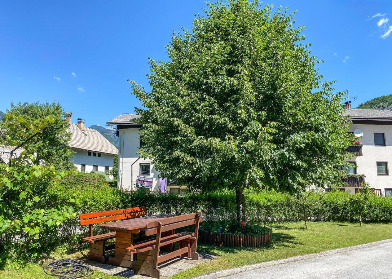 Apartment Ticar Bohinj Exteriér fotografie